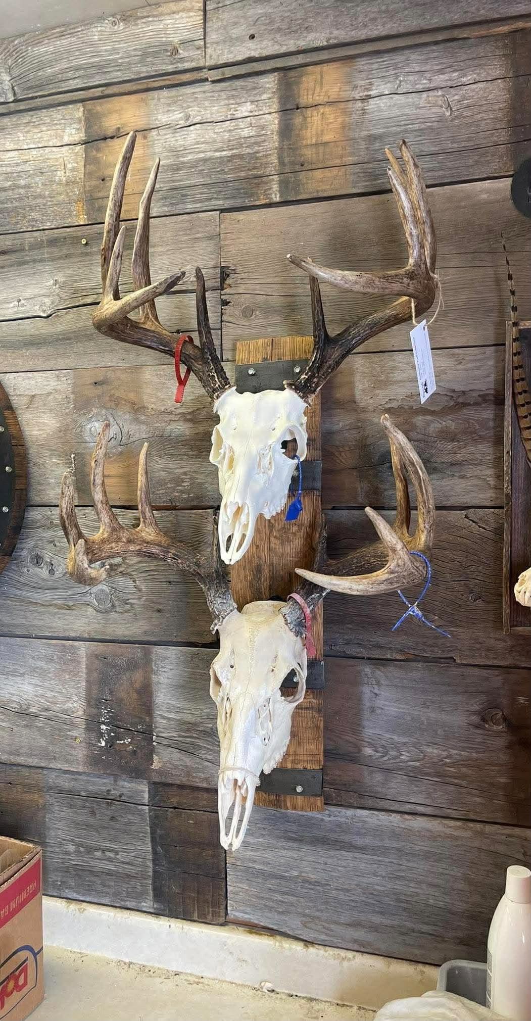 Double Barrel Stave Skull Plaque